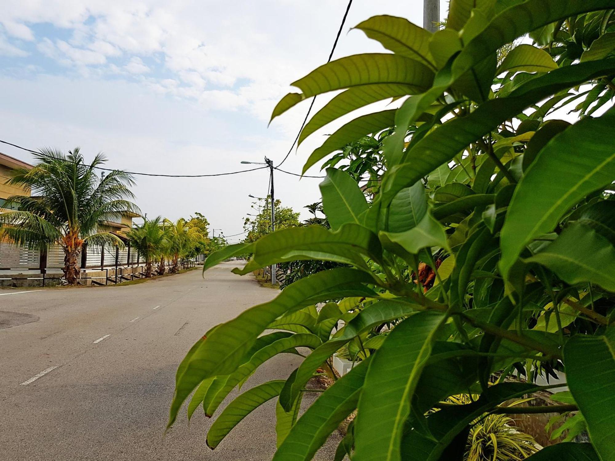Siantan In Paya Rumput Near Std Hang Jebat, Sg Udang & Uitm Lendu Malacca Εξωτερικό φωτογραφία